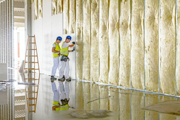Best Blown-in Insulation in Kerrville, TX